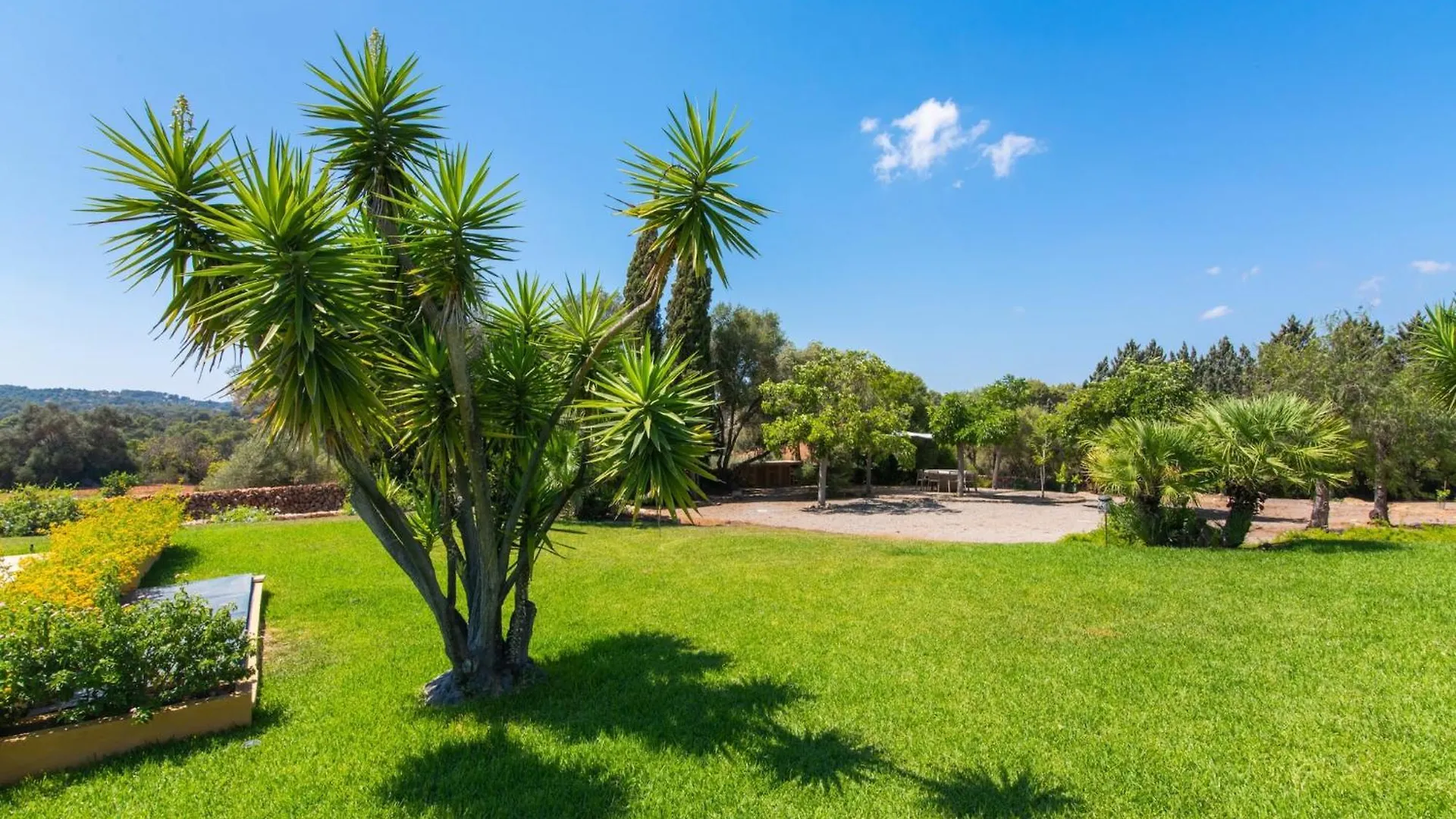 Country House Near Cala Petita Beach Manacor  Semesterbostad Manacor (Mallorca)